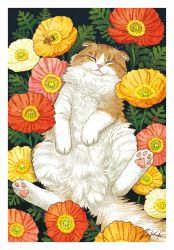 Rule 34 | animal, animal focus, cat, closed mouth, commentary request, closed eyes, facing viewer, field, flower, flower field, flower request, leaf, no humans, original, sleeping, takigraphic