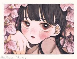 Rule 34 | 1girl, blush, border, brown eyes, flower, looking at viewer, momo walnut, original, parted lips, pink flower, portrait, shadow, solo, white border