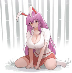 Rule 34 | 1girl, absurdres, animal ears, blouse, bobby socks, breasts, cleavage, highres, large breasts, light purple hair, long hair, mata (matasoup), orange skirt, pleated skirt, puffy short sleeves, puffy sleeves, purple hair, rabbit ears, rabbit girl, rabbit tail, red eyes, reisen udongein inaba, sexually suggestive, shirt, short sleeves, simple background, sitting, skirt, socks, solo, tail, touhou, very long hair, wariza, white background