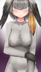 Rule 34 | 1girl, 3:, black gloves, black hair, blush, bodystocking, breasts, closed mouth, covered collarbone, covered erect nipples, covered navel, cowfee, fingerless gloves, gloves, grey hair, groin, hair between eyes, hand on own arm, highres, kemono friends, long hair, long sleeves, looking at viewer, low ponytail, medium breasts, multicolored hair, orange eyes, orange hair, shoebill (kemono friends), side ponytail, slit pupils, solo, upper body