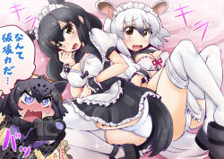 Rule 34 | 3girls, alternate costume, animal ears, animal print, anteater ears, anteater tail, apron, ass, bare arms, black hair, black jaguar (kemono friends), blue eyes, bow, bowtie, breasts, brown eyes, cameltoe, camera, center opening, chibi, covered erect nipples, elbow gloves, embarrassed, enmaided, extra ears, frilled apron, frilled skirt, frills, furrowed brow, gloves, hair between eyes, hand to own mouth, highres, holding, holding camera, jaguar ears, jaguar print, kemono friends, long hair, lying, maid, maid apron, maid headdress, malayan tapir (kemono friends), medium breasts, medium hair, microskirt, multicolored hair, multiple girls, on back, on side, open mouth, print gloves, print skirt, puffy short sleeves, puffy sleeves, sekiguchi miiru, shirt, short sleeves, sidelocks, skindentation, skirt, skirt set, southern tamandua (kemono friends), sparkle, tail, tamandua ears, tamandua tail, tapir tail, thighhighs, translation request, twisted torso, two-tone hair, v-shaped eyebrows, waist apron, wavy mouth, white hair, white legwear, wrist cuffs