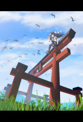 Rule 34 | 1girl, absurdres, architecture, bird, black hair, black ribbon, black thighhighs, blue sky, blush, camera, cloud, collared shirt, feathers, flock, full body, grass, hair between eyes, hat, highres, holding, holding camera, letterboxed, looking afar, mary janes, neck ribbon, open mouth, pom pom (clothes), red eyes, redden wang, ribbon, ryoubu torii, shameimaru aya, shirt, shoes, short hair, silhouette, sitting, sky, smile, solo, tengu, thighhighs, tokin hat, torii, touhou, wings