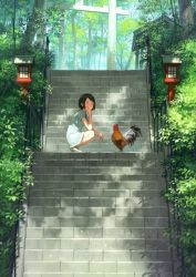 Rule 34 | 1girl, animal, arch, bare arms, bare legs, bird, black hair, blue dress, blush, building, chicken, dappled sunlight, day, dress, forest, from side, full body, hand on own cheek, hand on own face, highres, lantern, legs together, looking at viewer, looking to the side, nature, no socks, original, outdoors, plant, railing, rooster, shadow, shoes, short hair, short sleeves, shrine, solo, squatting, stairs, sun, sunlight, swept bangs, torii, tree, white footwear, yoshida seiji
