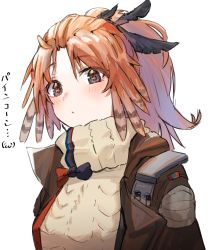 Rule 34 | 1girl, arknights, blush, brown jacket, brown sweater, character name, feather hair, highres, horn/wood, jacket, long hair, looking at viewer, open clothes, open jacket, orange eyes, orange hair, pinecone (arknights), ponytail, simple background, solo, sweater, turtleneck, turtleneck sweater, upper body, white background