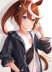 Rule 34 | 1girl, absurdres, animal ears, black jacket, blue eyes, blush, brown hair, buttons, hair between eyes, hand in pocket, highres, horse ears, horse girl, jacket, long hair, looking at viewer, multicolored hair, open clothes, open jacket, ponytail, shirt, sky cappuccino, solo, tokai teio (umamusume), two-tone hair, umamusume, upper body, white hair, white shirt