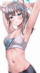 Rule 34 | 1girl, :o, absurdres, animal ears, armpits, arms up, black pants, blue archive, blue eyes, blush, breasts, cleavage, commentary, cross hair ornament, extra ears, grey hair, hair ornament, halo, highres, medium breasts, midriff, navel, neil (neil nim), pants, ponytail, shiroko (blue archive), simple background, solo, sports bra, stomach, sweat, symbol-only commentary, white background, wolf ears