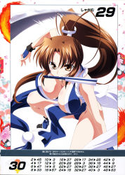 Rule 34 | 1girl, bare shoulders, breasts, brown eyes, brown hair, cleavage, fatal fury, hand fan, highres, holding, izumi mahiru, kneeling, large breasts, long hair, looking at viewer, mouth hold, ninja, non-web source, official art, pelvic curtain, ponytail, queen&#039;s blade, queen&#039;s gate, revealing clothes, scan, shiranui mai, simple background, solo, the king of fighters