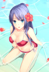 Rule 34 | 1girl, amanuki-san, beach, bikini, blue eyes, breasts, cleavage, day, eyebrows, flower, from above, hair flower, hair ornament, hand on own chest, hibiscus, large breasts, long hair, looking at viewer, looking up, navel, original, partially submerged, petals, petals on liquid, ponytail, purple hair, red bikini, side-tie bikini bottom, sitting, solo, swimsuit, wariza, water