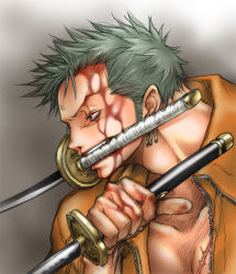 Rule 34 | 1boy, blood, dual wielding, earrings, enies lobby, green hair, holding, jewelry, male focus, mouth hold, one piece, open clothes, open shirt, profile, ray ash, roronoa zoro, scar, shirt, solo, sword, unzipped, weapon, zipper