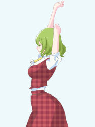 Rule 34 | 1girl, arms up, ascot, breasts, colored eyelashes, from side, green hair, kazami yuuka, large breasts, medium hair, plaid, plaid skirt, plaid vest, shirt, skirt, solo, stretching, tohoyuukarin, touhou, unmoving pattern, vest, white background, white shirt, yellow ascot