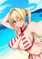 Rule 34 | 1girl, ahoge, akatsuki ikki, ass, bare legs, bare shoulders, bikini, blonde hair, breasts, butt crack, eyebrows hidden by hair, fate/grand order, fate (series), green eyes, hair intakes, highres, large breasts, long hair, looking at viewer, nero claudius (fate), nero claudius (fate) (all), nero claudius (swimsuit caster) (fate), ocean, one eye closed, reaching, reaching towards viewer, ribbon, sky, smile, solo, stomach, swimsuit, twintails, upper body