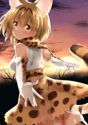 Rule 34 | 10s, 1girl, absurdres, animal ears, brown eyes, brown hair, cat ears, cat tail, elbow gloves, gloves, go-1, highres, kemono friends, looking at viewer, outstretched arms, serval (kemono friends), serval print, serval tail, short hair, sky, solo, spread arms, star (sky), starry sky, sunset, tail, tree, twilight