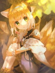 Rule 34 | 1girl, animal ear fluff, animal ears, arknights, bare shoulders, black collar, blonde hair, blue hairband, braid, braided hair rings, clothing cutout, collar, colored tips, commentary, dress, earpiece, flower, fox ears, fox girl, fox tail, frilled dress, frilled sleeves, frills, green eyes, hair rings, hairband, highres, holding, holding flower, infection monitor (arknights), kitsune, kyuubi, looking at viewer, material growth, multicolored hair, multiple tails, nishimiya aki, oripathy lesion (arknights), pantyhose, parted lips, purple dress, short hair, short sleeves, shoulder cutout, sitting, solo, suzuran (arknights), tail, twin braids, white hair, white pantyhose