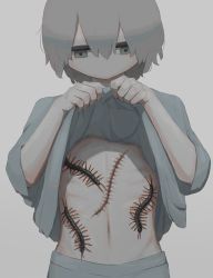Rule 34 | 1boy, absurdres, avogado6, bug, centipede, clothes lift, expressionless, grey hair, highres, lifting own clothes, male focus, midriff, no mouth, original, portrait, shirt lift, solo, stitches, upper body