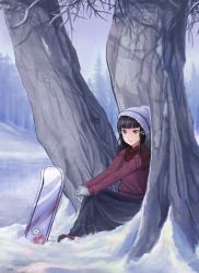 Rule 34 | 1girl, bare tree, black hair, black skirt, blunt bangs, blurry, blush, day, depth of field, forest, gloves, green eyes, hands on own knees, highres, knit hat, kurosawa dia, long hair, long sleeves, looking at viewer, love live!, love live! school idol project, love live! sunshine!!, mole, mole under mouth, nature, outdoors, own hands together, plaid, plaid scarf, purple sweater, radiapyon, scarf, sidelocks, sitting, skirt, smile, snow, snowboard, solo, sweater, tree, under tree, white gloves, winter