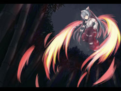 Rule 34 | 1girl, artist request, collared shirt, female focus, fire, fire, flying, fujiwara no mokou, long hair, long sleeves, looking at viewer, ofuda, outdoors, pants, plant, red eyes, shaded face, shirt, silver hair, solo, source request, touhou, tree, very long hair, white shirt, wings