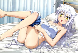 Rule 34 | 10s, 1girl, absurdres, ahoge, animal ears, ass, barefoot, bed, blush, cat ears, cat tail, dog days, feet, highres, leonmitchelli galette des rois, lion tail, long hair, official art, on bed, panties, pillow, silver hair, tail, tamaki shingo, thong, toes, underwear, undressing, yellow eyes