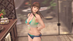 Rule 34 | 1girl, 3d, beach, bikini, breasts, brown hair, dead or alive, dead or alive xtreme beach volleyball, female focus, hitomi (doa), indoors, large breasts, long hair, official art, official wallpaper, plant, solo, swimsuit, tecmo, underboob, wallpaper