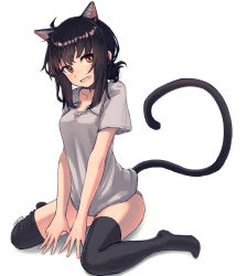 Rule 34 | 1girl, ahoge, amekaze yukinatsu, animal ears, bad id, bad pixiv id, black hair, black thighhighs, brown eyes, cat ears, cat girl, cat tail, commentary, fang, female focus, full body, grey shirt, highres, looking at viewer, no pants, open mouth, original, panties, pink panties, revision, shirt, short sleeves, sidelocks, simple background, sitting, smile, solo, tail, thighhighs, underwear, wariza, white background