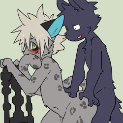 Rule 34 | 2boys, :p, animal ears, blush, borrowed character, cuntboy, cuntboy with male, flat color, furry, green background, green eyes, konopizaga!!, leopard ears, leopard tail, looking back, multiple boys, original, simple background, tail, tongue, tongue out, wolf ears, wolf tail