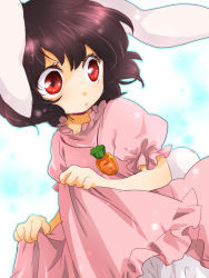 Rule 34 | 1girl, animal ears, bloomers, brown hair, carrot, clothes lift, dress, dress lift, female focus, gradient background, inaba tewi, jewelry, machiko (beard), pendant, rabbit ears, rabbit girl, rabbit tail, red eyes, short hair, solo, tail, touhou, underwear, white background, white bloomers