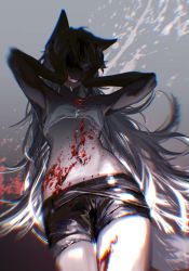 Rule 34 | 1girl, animal ears, arknights, armpits, black shorts, blood, blood on chest, blood on clothes, blood on face, blood on hands, blood on leg, blood splatter, blurry, cowboy shot, crop top, depth of field, facing down, facing viewer, from below, gradient background, grey background, grey hair, grin, groin, hands on own cheeks, hands on own face, hands up, highres, lappland (arknights), long hair, midriff, moruki, shaded face, shorts, sleeveless, smile, solo, splatter, tail, tears, toned, very long hair, wolf ears, wolf girl, wolf tail