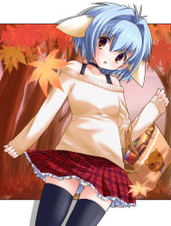 Rule 34 | 00s, 1girl, animal ears, autumn leaves, bag, black thighhighs, blue hair, blush, broccoli (company), casual, choker, cowboy shot, dutch angle, galaxy angel, leaf, lingerie, long sleeves, looking at viewer, maple leaf, mint blancmanche, panties, pantyshot, petticoat, plaid, plaid skirt, shinshin, skirt, solo, standing, sweater, tank top, thighhighs, underwear, white panties, yellow eyes