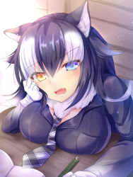 Rule 34 | 10s, 1girl, animal ears, black hair, blue eyes, book, breast rest, breasts, breasts on table, fang, gloves, grey necktie, grey wolf (kemono friends), hair between eyes, hair flaps, hand on own cheek, hand on own face, head rest, heterochromia, holding, holding pencil, kemono friends, large breasts, looking at viewer, multicolored hair, nagare yoshimi, necktie, open book, open mouth, pencil, plaid, plaid necktie, plaid neckwear, sidelocks, solo, table, two-tone hair, white gloves, white hair, wolf ears, yellow eyes