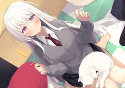 Rule 34 | 1girl, animal, bad id, bad pixiv id, barefoot, black skirt, blush, breasts, cardigan, cat, cat teaser, closed mouth, collared shirt, commentary request, dutch angle, grey cardigan, hands up, holding, long hair, long sleeves, looking at viewer, medium breasts, necktie, original, plaid, plaid necktie, plaid skirt, purple eyes, red necktie, sasahara wakaba, shirt, skirt, sleeves past wrists, smile, solo, very long hair, white cat, white hair, white shirt