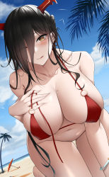 Rule 34 | 1girl, absurdres, all fours, alternate costume, azur lane, ball, beach, beach umbrella, beachball, bikini, bird, black hair, blue sky, blush, bottomless, bracelet, breasts, closed mouth, cloud, collarbone, ear piercing, eyes visible through hair, friedrich der grosse (azur lane), hair over one eye, hand on own chest, heart, heart-shaped pupils, highres, horns, huge breasts, jewelry, large breasts, larger bmx, leaf, long hair, looking at viewer, mole, mole on breast, navel, o-ring, o-ring bikini, palm tree, piercing, red bikini, sand, skindentation, sky, solo, stomach, strap slip, swimsuit, symbol-shaped pupils, thigh gap, tongue, tongue out, tree, umbrella, very long hair, yellow eyes