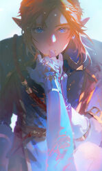 Rule 34 | 1boy, belt, blonde hair, blue eyes, blue tabard, blurry, bridal gauntlets, closed mouth, commentary, dappled sunlight, depth of field, english commentary, hand up, highres, holding hands, kiss, kissing hand, layered sleeves, light particles, link, long sleeves, looking at viewer, male focus, mian lang, nintendo, no headwear, out of frame, outstretched arm, parted bangs, pointy ears, pov, pov hands, princess zelda, royal guard set (zelda), short over long sleeves, short sleeves, simple background, solo focus, straight-on, sunlight, tabard, the legend of zelda, the legend of zelda: breath of the wild, upper body, white background, wind