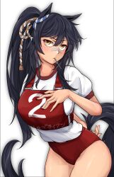 Rule 34 | 1girl, absurdres, animal ears, arm behind back, bandaid, bandaid on face, bandaid on nose, black hair, buruma, closed mouth, commentary, cowboy shot, gym shirt, gym uniform, hair ornament, half-closed eyes, hand on own chest, highres, horse ears, horse girl, horse tail, light frown, long hair, looking at viewer, mosa331, mouth hold, narita brian (umamusume), ponytail, race bib, red buruma, rope, shirt, short sleeves, solo, standing, t-shirt, tail, toothpick, umamusume, white shirt, yellow eyes