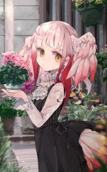 Rule 34 | 1girl, alternate costume, back bow, bird girl, bird tail, bird wings, black dress, blush, bouquet, bow, casual, collar, commentary request, dress, earrings, flower, frilled collar, frilled sleeves, frills, head wings, highres, holding, holding bouquet, japanese crested ibis (kemono friends), jewelry, kemono friends, long sleeves, looking at viewer, multicolored hair, nail polish, nanana (nanana iz), pink nails, red hair, shirt, short hair, sidelocks, solo, tail, white hair, white shirt, wings, yellow eyes