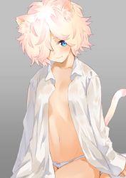 Rule 34 | 1girl, animal ear fluff, animal ears, blue eyes, blush, bow, bow panties, cat ears, cat girl, cat tail, closed mouth, collarbone, collared shirt, commentary request, dress shirt, grey background, groin, hair over one eye, highres, looking at viewer, navel, nuqura, open clothes, open shirt, original, panties, pink hair, shirt, short hair, simple background, smile, solo, tail, tail raised, underwear, white panties, white shirt