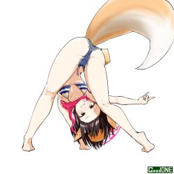 Rule 34 | 1girl, :d, all fours, animal ears, arm support, ass, bare legs, barefoot, bikini, black hair, blue archive, breasts, brown eyes, butt crack, cleavage, collarbone, commentary request, denim, denim shorts, eyeshadow, flexible, forehead, fox ears, fox girl, fox shadow puppet, fox tail, from behind, grin, halo, highres, izuna (blue archive), izuna (swimsuit) (blue archive), kenatosne, looking at viewer, looking back, makeup, medium breasts, medium hair, navel, official alternate costume, open mouth, red scarf, scarf, short shorts, shorts, sidelocks, simple background, smile, soles, solo, stomach, striped bikini, striped clothes, swimsuit, tail, tiptoes, toes, white background