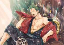 Rule 34 | 1boy, abs, alcohol, animal ears, bottle, drink, earrings, green hair, highres, jewelry, male focus, one-eyed, one piece, open clothes, roronoa zoro, sake, saucer, scabbard, scar, sheath, sitting, solo, sword, tail, tiger ears, weapon, yuu (1969loy)