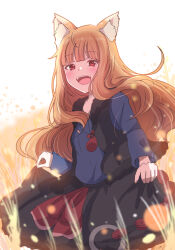 Rule 34 | 1girl, animal ear fluff, animal ears, blush, dot nose, fangs, fur-trimmed skirt, fur-trimmed vest, fur trim, giorgio (yo sumire sola1), hair over shoulder, happy, highres, holo, light brown hair, long hair, long sleeves, looking at viewer, open clothes, open mouth, open vest, outdoors, red eyes, shirt, skirt, smile, solo, spice and wolf, straight hair, teeth, very long hair, vest, wheat, wheat field, wolf ears, wolf girl