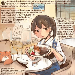 Rule 34 | 10s, 1girl, admiral (kancolle), animal, blue hakama, brown eyes, brown hair, colored pencil (medium), commentary request, curry, curry rice, dated, food, hakama, hakama skirt, hamster, holding, holding plate, japanese clothes, kaga (kancolle), kantai collection, kirisawa juuzou, muneate, non-human admiral (kancolle), nontraditional miko, numbered, plate, rice, short hair, side ponytail, sitting, skirt, smile, tasuki, traditional media, twitter username