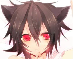 Rule 34 | (21)suke, 1boy, animal ears, cat boy, cat ears, character request, copyright request, gradient background, male focus, red eyes, solo, source request, tagme, white background