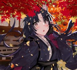 Rule 34 | 1girl, :o, adjusting hair, animal ears, arknights, autumn, autumn leaves, black hair, black kimono, dog ears, dog girl, facial mark, falling leaves, fingerless gloves, forehead mark, gloves, jannong, japanese clothes, kimono, leaf, long hair, looking at viewer, open mouth, parted bangs, saga (arknights), solo, upper body