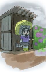 Rule 34 | 1girl, animal ears, black bow, black bowtie, black gloves, black hair, black skirt, boots, border, bow, bowtie, brown eyes, bush, chibi, commentary request, common raccoon (kemono friends), corrugated galvanised iron sheet, fang, flower, fur collar, gloves, grey gloves, grey hair, grey pantyhose, highres, holding, holding umbrella, hydrangea, kemono friends, looking ahead, medium hair, multicolored clothes, multicolored gloves, multicolored hair, naka (buttergirl 02), open mouth, outdoors, pantyhose, pink flower, pleated skirt, purple shirt, raccoon ears, raccoon girl, raccoon tail, rain, rubber boots, shack, shirt, skirt, smile, solo, tail, umbrella, white border, wide shot, yellow footwear