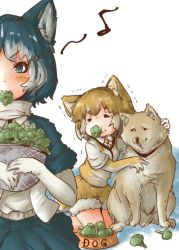 Rule 34 | &gt; &lt;, 10s, 2girls, animal ears, blue eyes, bowl, broccoli, collared shirt, commentary request, dog, dog (shiba inu) (kemono friends), dog ears, dog tail, eating, elbow gloves, fur collar, gloves, harness, highres, jacket, kemono friends, kneeling, multiple girls, musical note, necktie, pet bowl, pleated skirt, scarf, shirt, short sleeves, shorts, siberian husky (kemono friends), skirt, tail, tears, tikano, trembling, vest