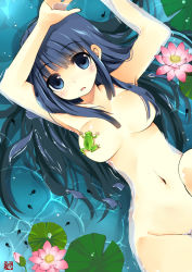 Rule 34 | 1girl, armpits, blue eyes, blue hair, blush, breasts, censored, convenient censoring, flower, frog, from above, hair censor, hair over breasts, kaisanbutsu, large breasts, lily pad, living clothes, long hair, lying, matching hair/eyes, navel, nude, nudist, on back, original, out-of-frame censoring, partially submerged, solo, water
