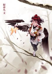 Rule 34 | 1girl, bare tree, bird wings, black hair, blurry, brown eyes, character name, depth of field, feather fan, feathered wings, from above, geta, hair blowing, hand on own hip, hat, heart, heart-shaped pupils, highres, in tree, kourindou tengu costume, looking at viewer, outstretched arm, riki6, shameimaru aya, short hair, smile, solo, standing, symbol-shaped pupils, tabi, tengu-geta, tokin hat, touhou, tree, wind, wings