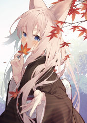 Rule 34 | 1girl, animal ear fluff, animal ears, autumn leaves, blue eyes, blush, branch, brown kimono, commentary request, covered mouth, fox ears, hair between eyes, highres, holding, holding leaf, japanese clothes, kimono, leaf, light brown hair, long hair, long sleeves, looking at viewer, maple leaf, obi, original, sash, solo, striped clothes, striped kimono, tokuno yuika, vertical-striped clothes, vertical-striped kimono, very long hair, wide sleeves