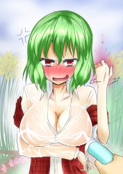 Rule 34 | 1girl, angry, blue eyes, blush, breasts, cleavage, embarrassed, female focus, flower, green eyes, kazami yuuka, large breasts, no bra, open mouth, plaid, plaid vest, pov, red eyes, short hair, sleeves pushed up, solo focus, sunflower, takorice, touhou, upper body, vest, water, wet, wet clothes