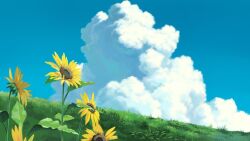 Rule 34 | blue sky, cloud, cloudy sky, derivative work, flower, grass, grasslands, leaf, midorikawa0526, morning, no humans, plant, scenery, screenshot redraw, sky, sunflower, tall grass, tonari no totoro