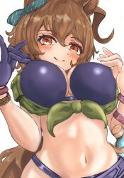 Rule 34 | 1girl, absurdres, agnes tachyon (lunatic lab) (umamusume), agnes tachyon (umamusume), animal ears, bikini, black bikini, blush, bracelet, breasts, brown hair, cleavage, commentary request, criss-cross halter, ear ornament, flask, green jacket, hair between eyes, halterneck, highres, horse ears, horse girl, horse tail, iko (saikoro k0702), jacket, jewelry, large breasts, long hair, long sleeves, looking at viewer, navel, red eyes, short hair, short ponytail, simple background, small breasts, smile, solo, stomach, swimsuit, tail, tied jacket, umamusume, upper body, white background