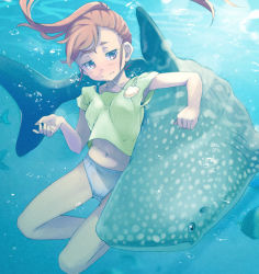Rule 34 | 1girl, armpits, bad id, bad pixiv id, breasts, bubble, freediving, hayyan, holding breath, jewelry, midriff, navel, necklace, original, panties, pendant, red eyes, red hair, see-through, shark, solo, swimming, tank top, underwater, underwear, wet, wet clothes, whale shark