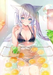 Rule 34 | 1girl, absurdres, animal ear fluff, animal ears, bare arms, bare shoulders, bathing, bathtub, bikini, black bikini, blush, breasts, bubble, cleavage, collarbone, cup, drink, drinking glass, drinking straw, food, fox ears, fruit, green eyes, halterneck, hand up, highres, long hair, looking at viewer, medium breasts, miwabe sakura, orange (fruit), orange slice, original, parted lips, plant, rubber duck, scan, shade, silver hair, solo, swimsuit, twintails, water, wet